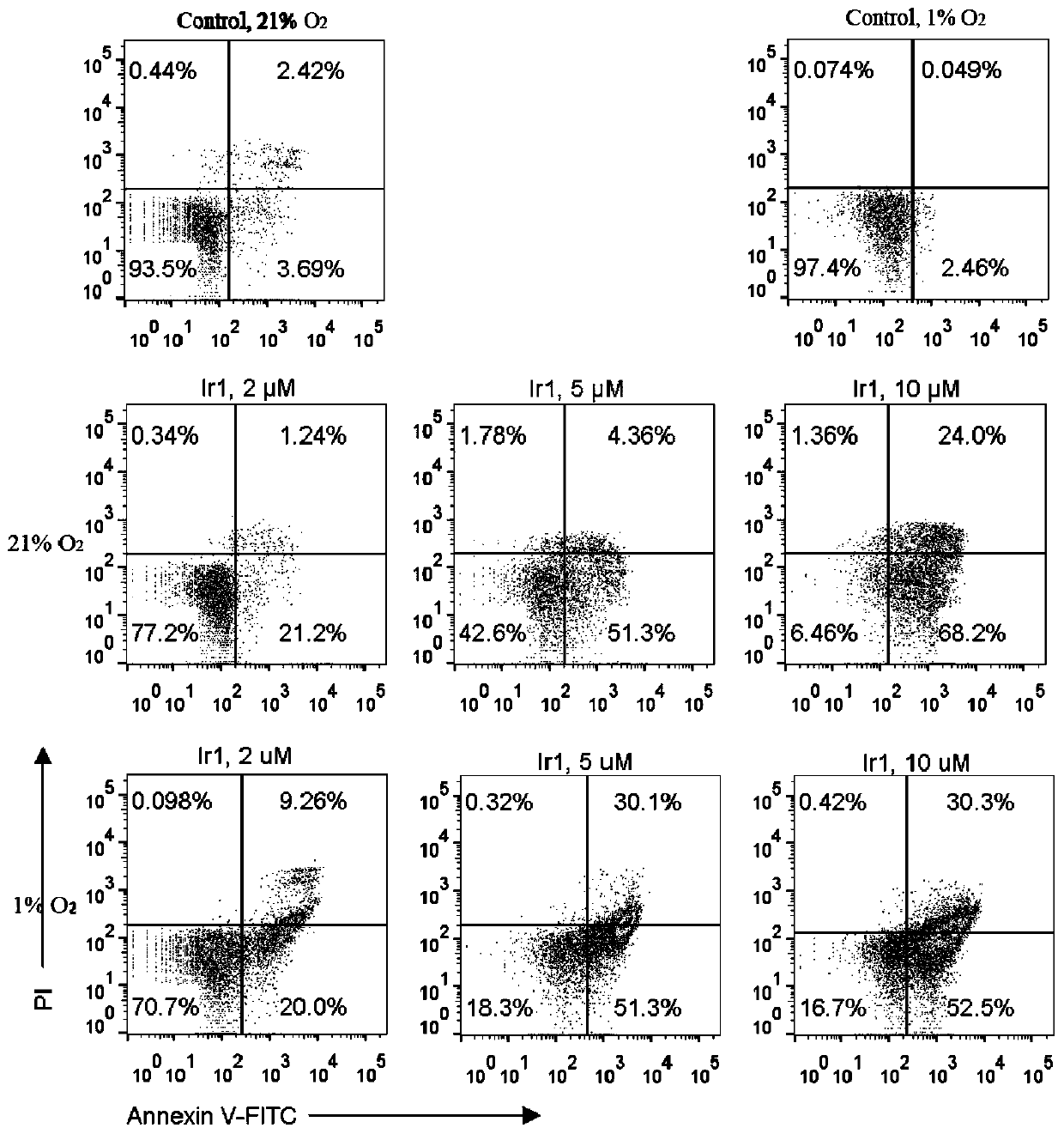 Cyclometalated iridium metformin complex and preparation method and application thereof