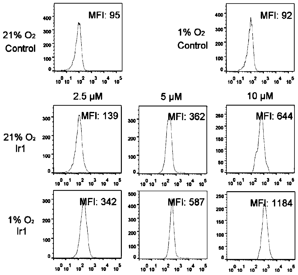 Cyclometalated iridium metformin complex and preparation method and application thereof