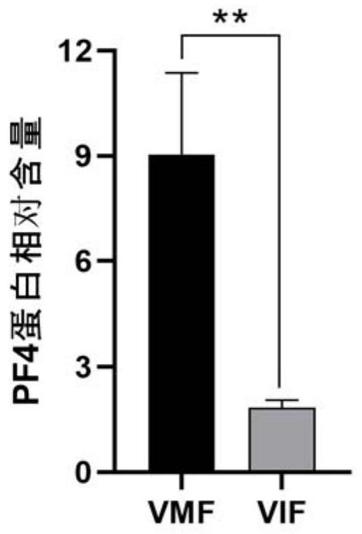 Additive for improving in-vitro maturation quality of oocytes, culture method and application