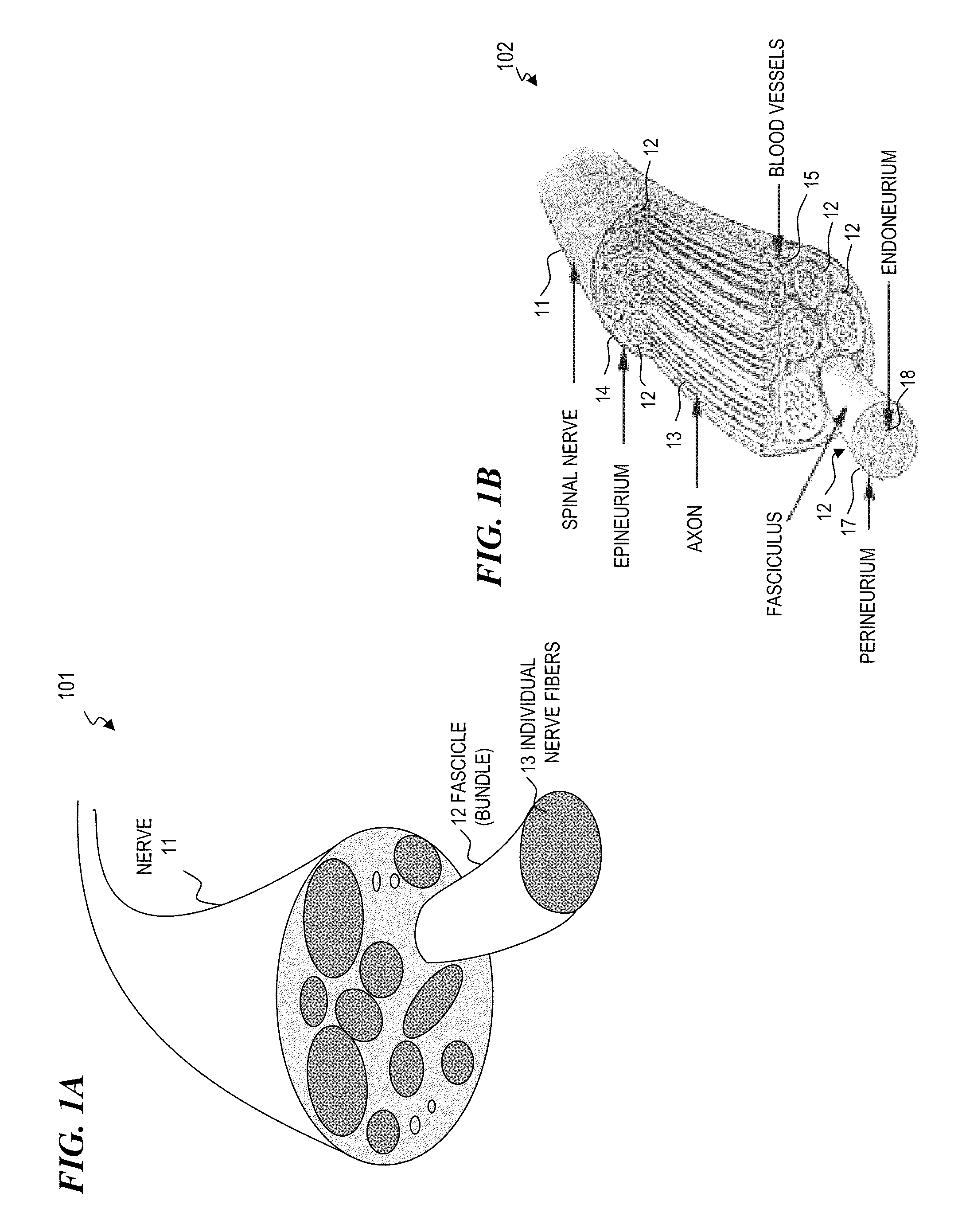 Implantable infrared nerve stimulation devices for peripheral and cranial nerve interfaces