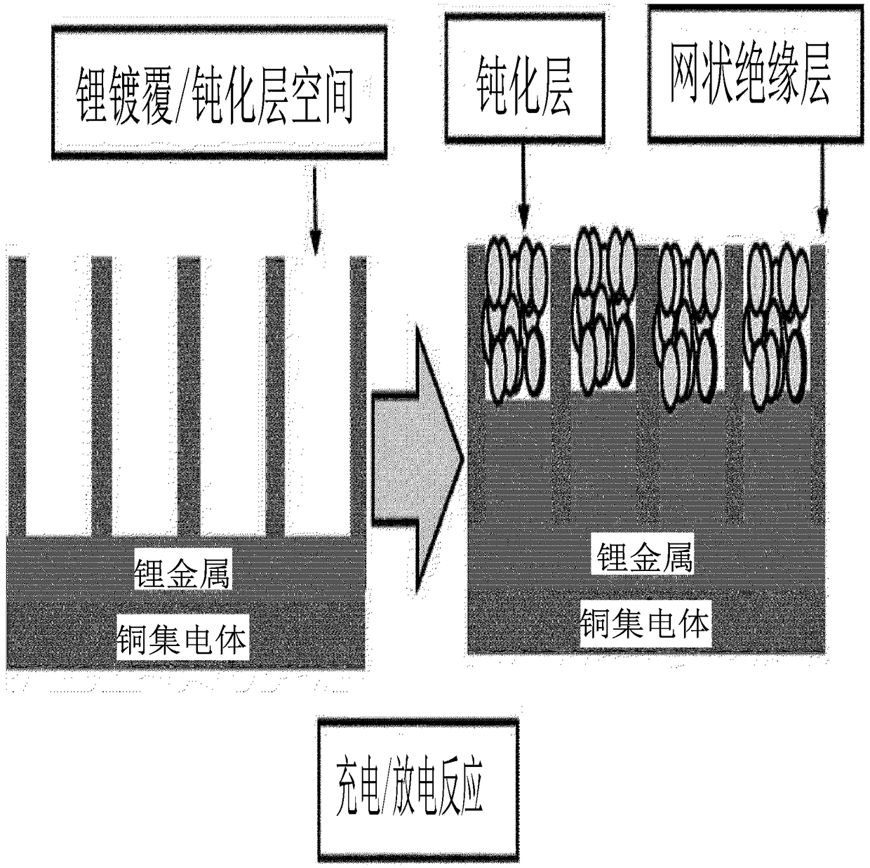 Anode for lithium secondary battery comprising mesh-shaped insulating layer, and lithium secondary battery comprising same