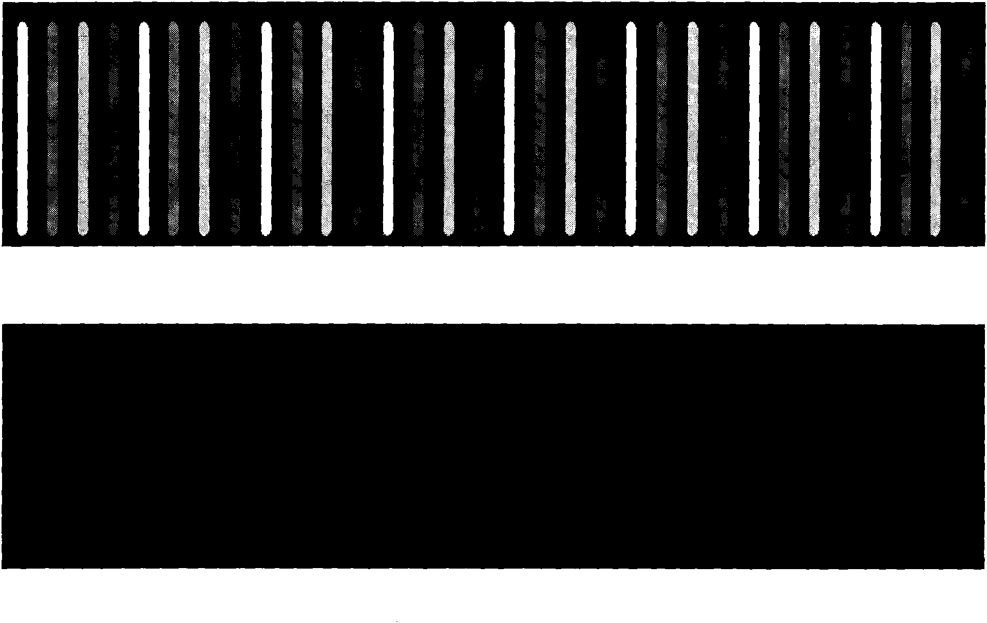 Method for measuring optical three-dimensional contour of space coding