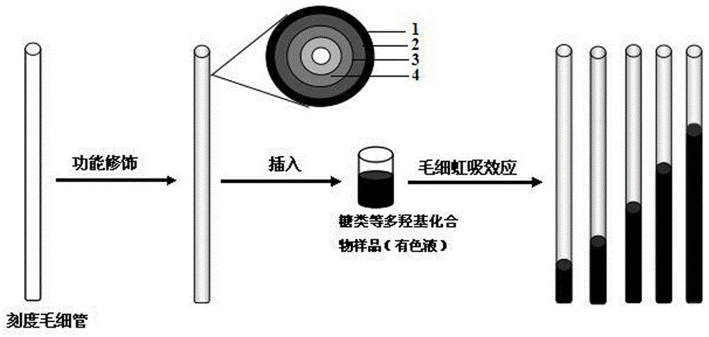 A rapid detection method for polyhydroxy compounds based on the capillary siphon effect and the recognition principle of phenylboronic acid