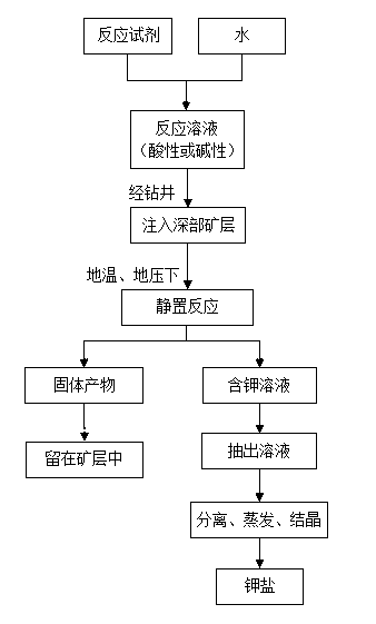 Method for preparing water-soluble sylvite from deep polyhalite in in-situ reaction mode