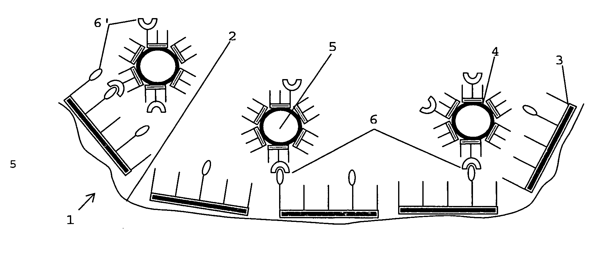 Cell selective implant surface with controlled release of bioactive agents