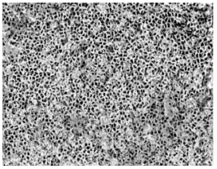 Method for preparing titanium oxide based ceramic membrane layer on surface of light metal or alloy of light metal