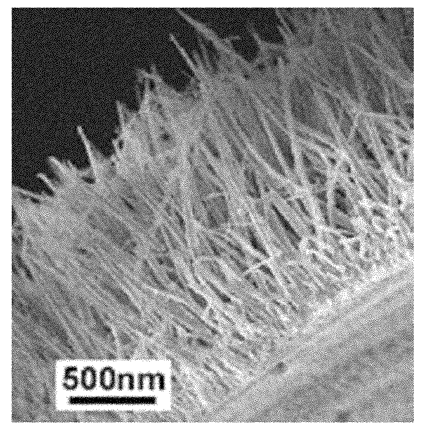 Blanket type light anode for dye sensitized solar cell and preparation method thereof