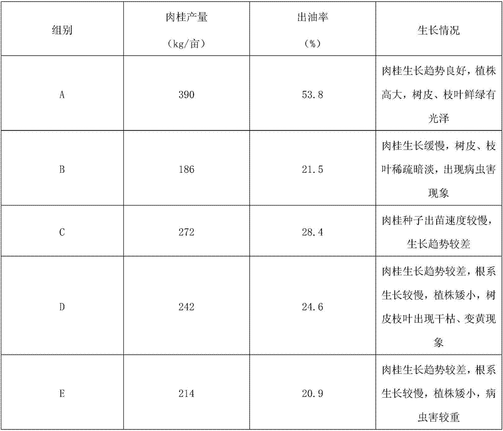 High-yield cultivation method for cinnamons