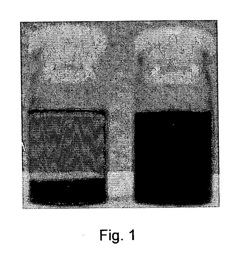 Carbon nanotube-filled composites prepared by in-situ polymerization