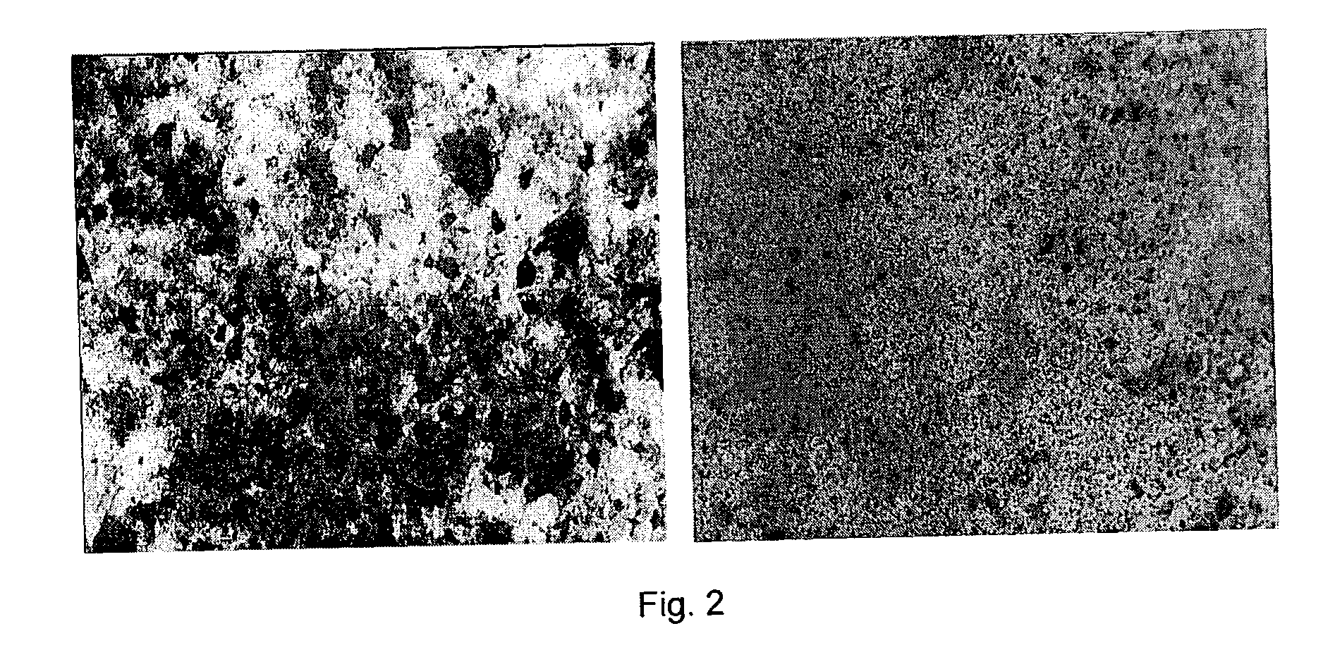 Carbon nanotube-filled composites prepared by in-situ polymerization