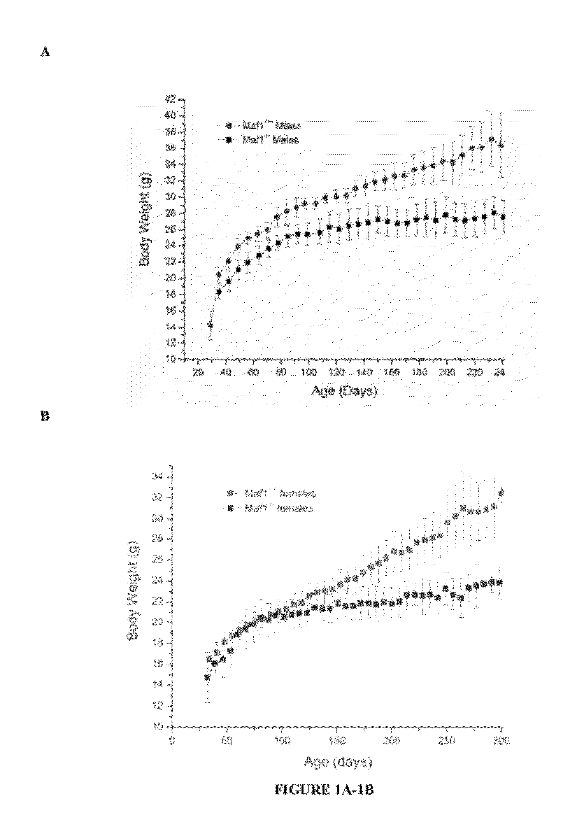 Methods for determining agents that treat or prevent obesity and/or obesity related diseases and methods for treatment therewith