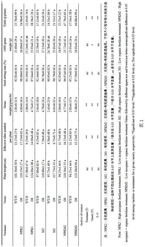 Application of OsNRT2.3b to increase of yield and improvement of quality of oryza sativa