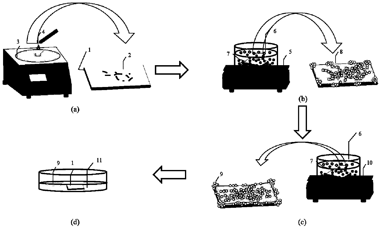 Method for controlling bubble through temperature to strip two-dimensional material growing on sapphire substrate