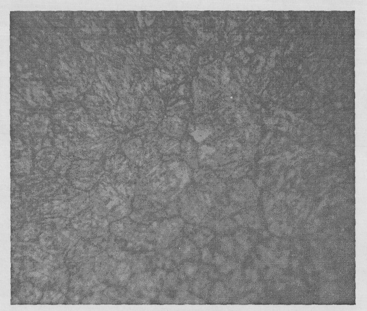 Quenching process of H13 steel for compression molds