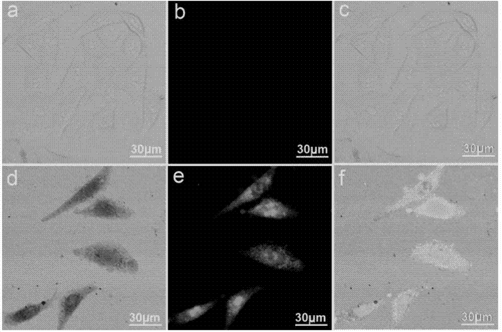 Hypochlorite ion fluorescence probe, preparation method and application thereof