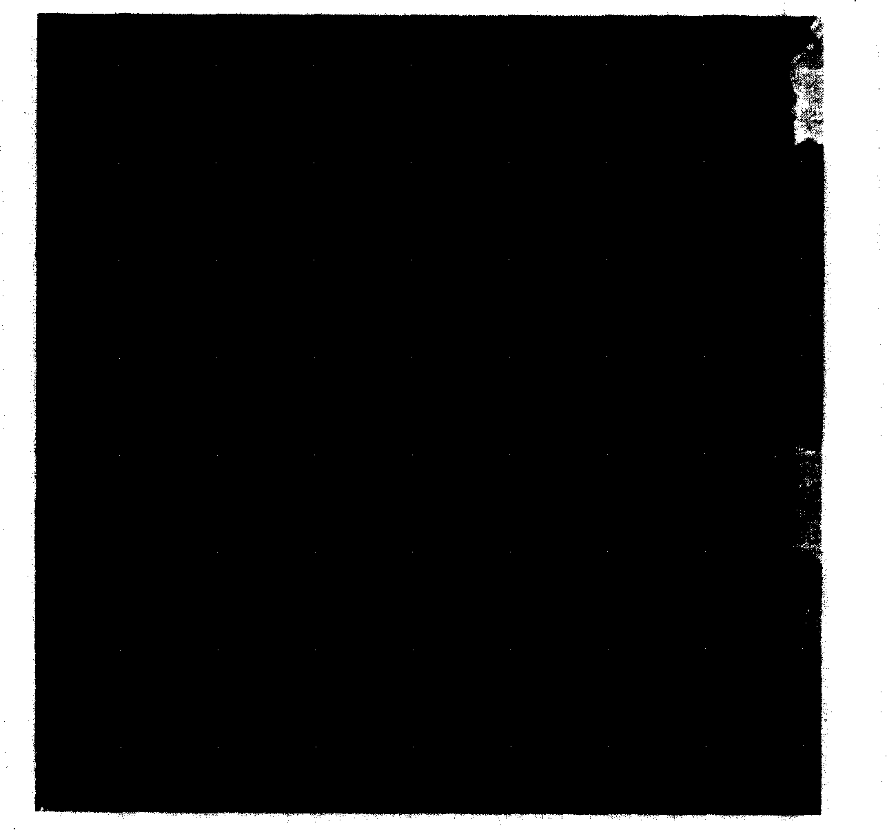 Ni-Ag nano material for anode of oxide fuel cell and method for synthesizing the material