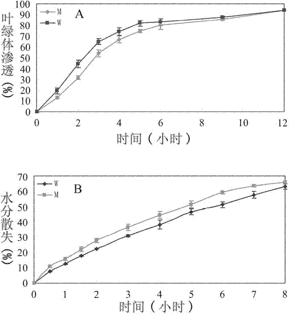 Method for culturing transgenic plant with decreased wax