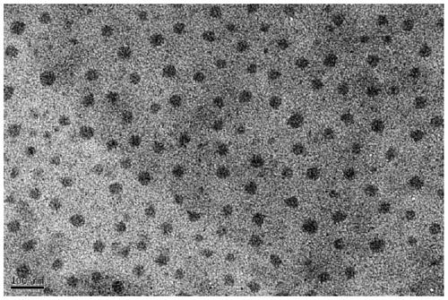 A double nano-drug loading system containing apog2 and alpcs4 and its preparation method and application