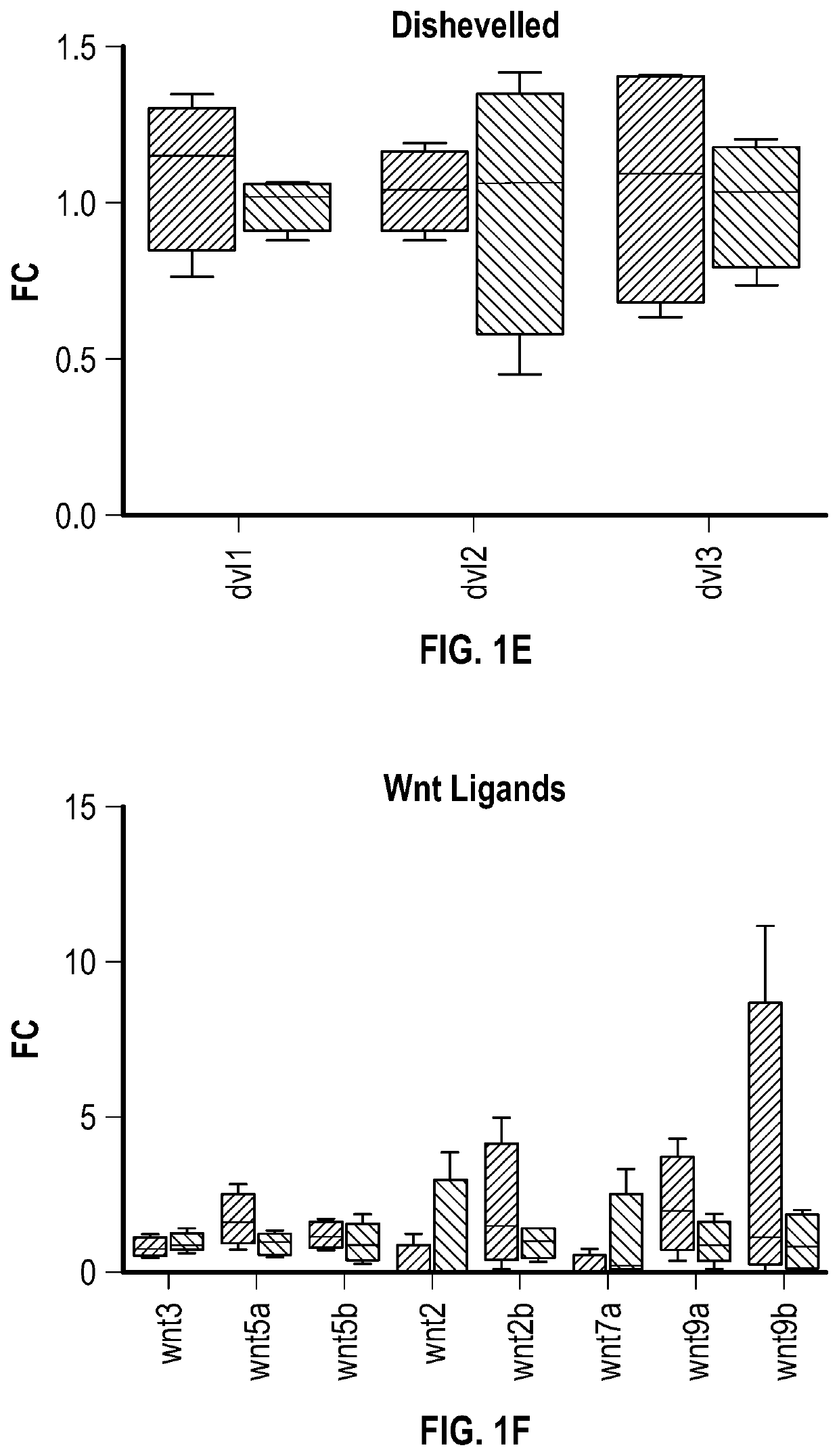 Therapeutically active cells and exosomes