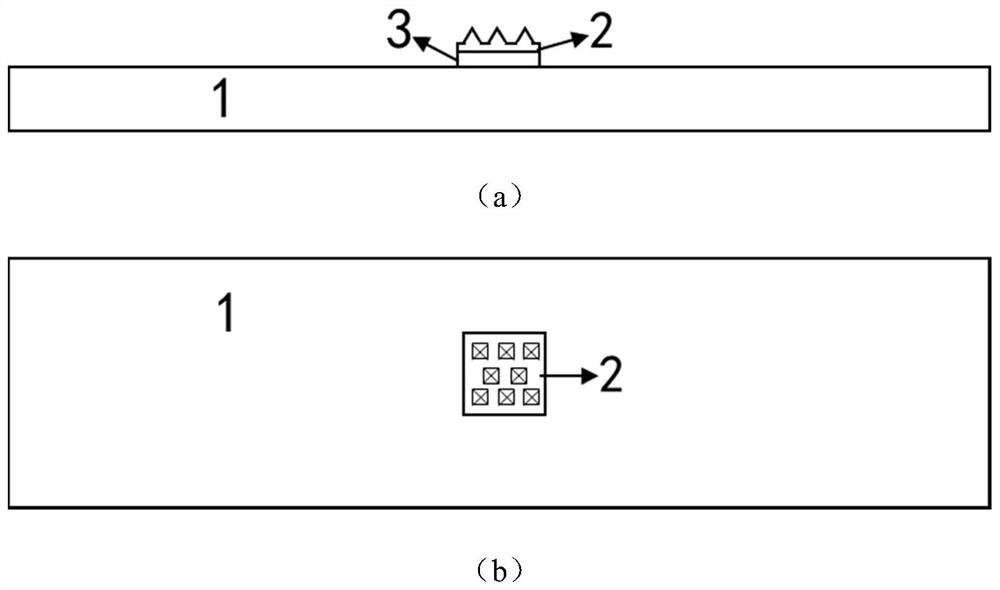 Surface enhanced Raman scattering substrate and application method thereof