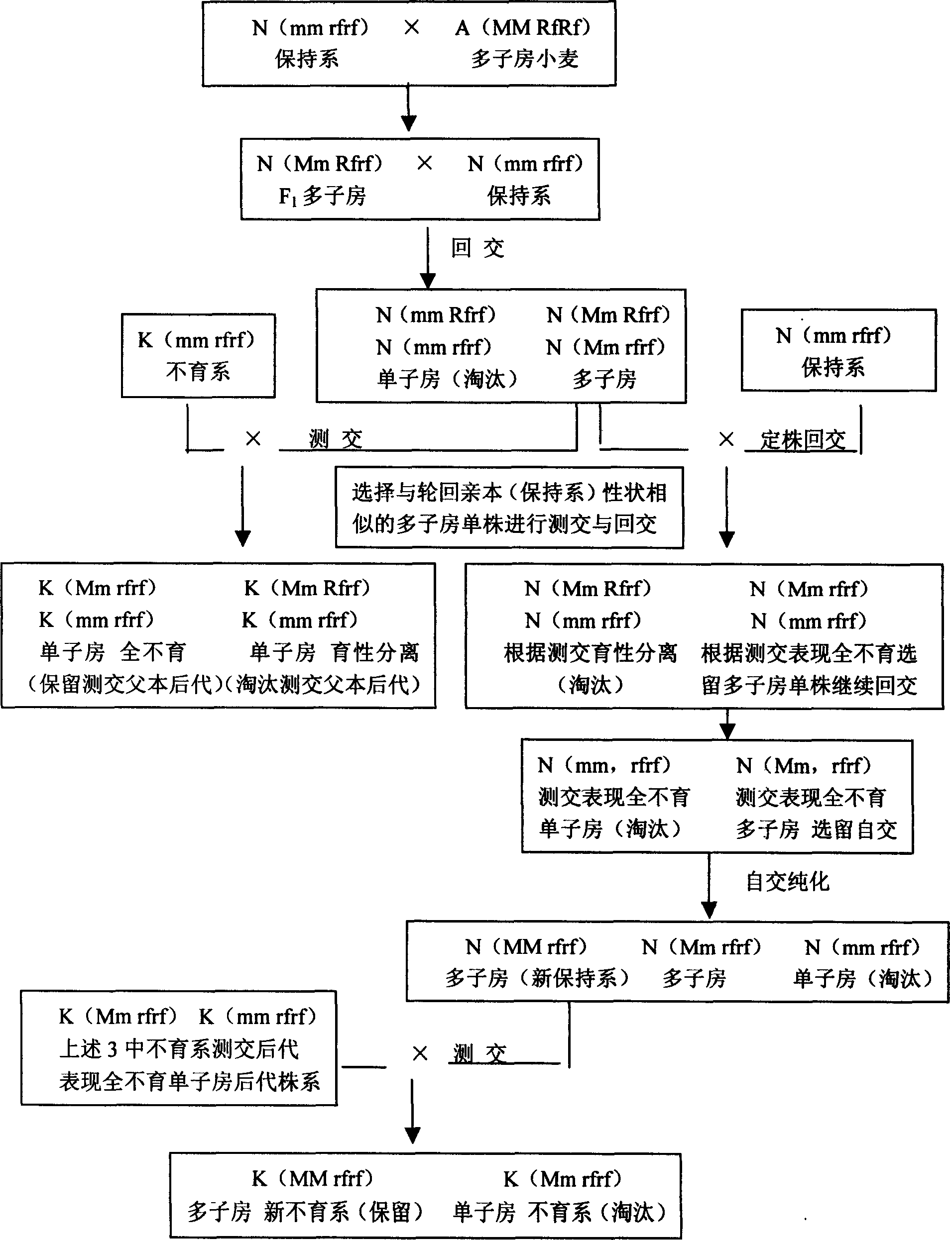 Method of raising ternary wheat hybrid breeding efficiency