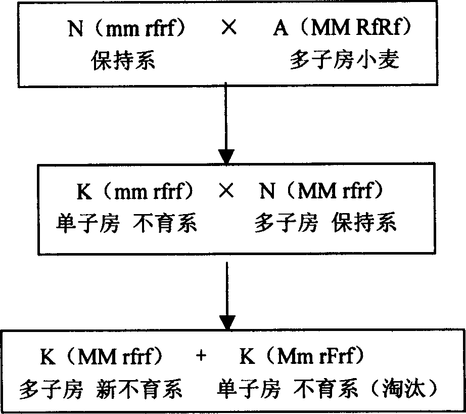 Method of raising ternary wheat hybrid breeding efficiency