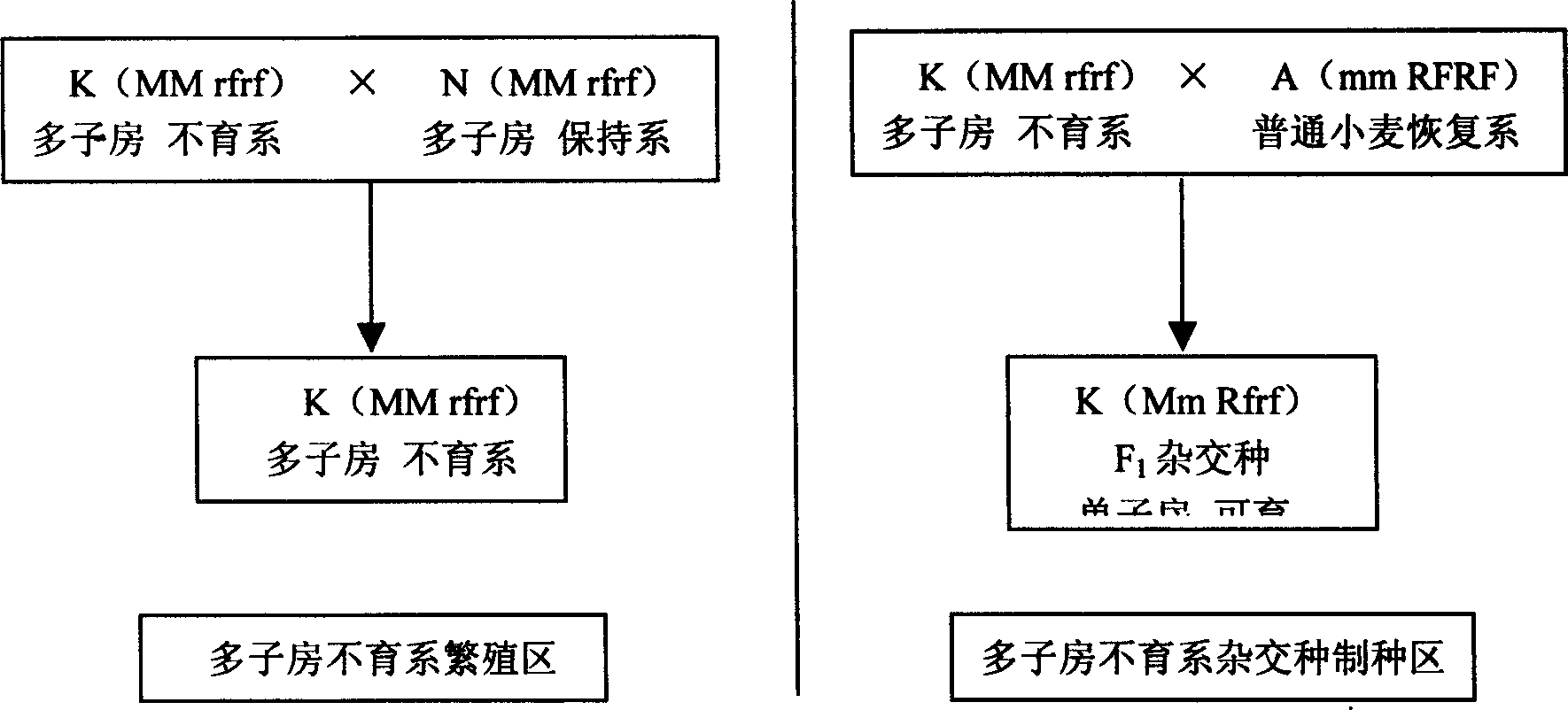 Method of raising ternary wheat hybrid breeding efficiency