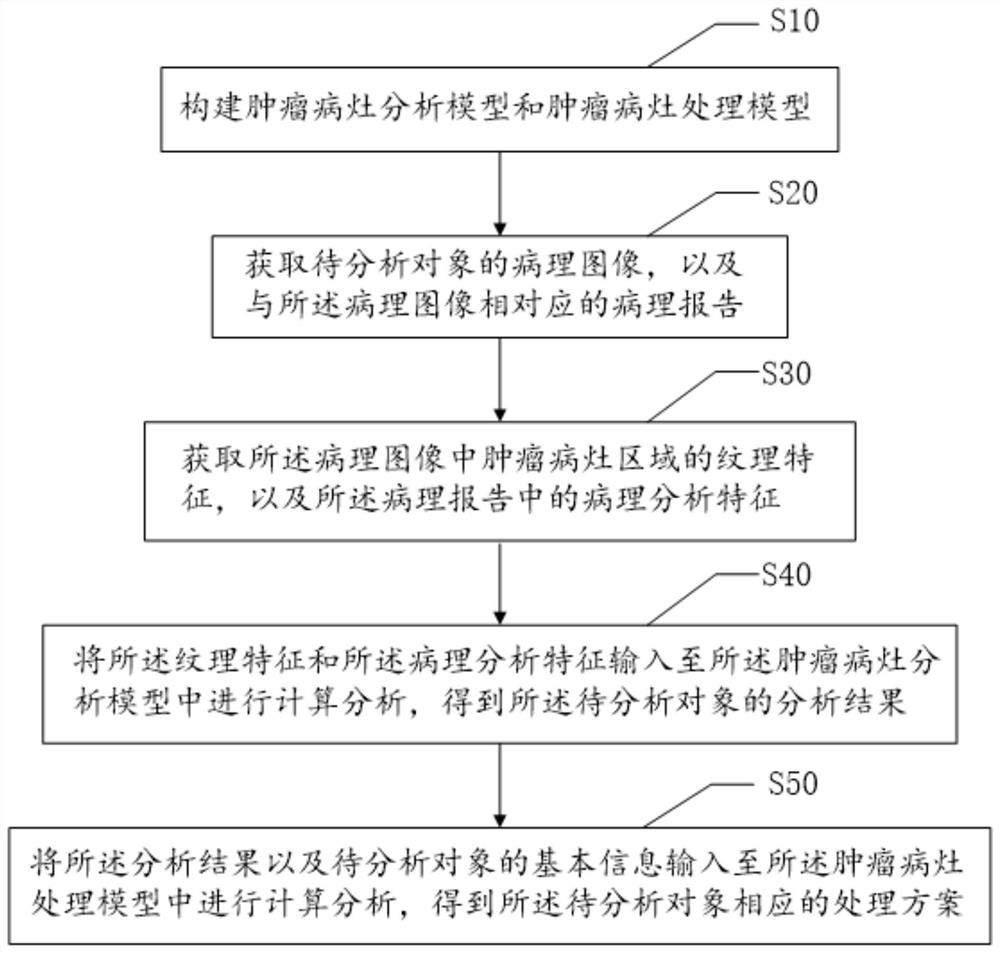 Tumor medication scheme generation method and device, equipment and storage medium