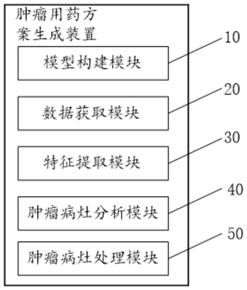 Tumor medication scheme generation method and device, equipment and storage medium