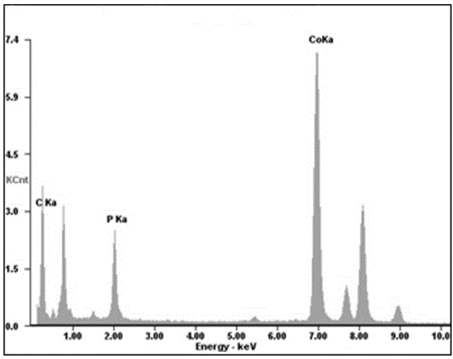 Polyhedron cobalt phosphide/graphite carbon hybrid material and preparing method and application thereof