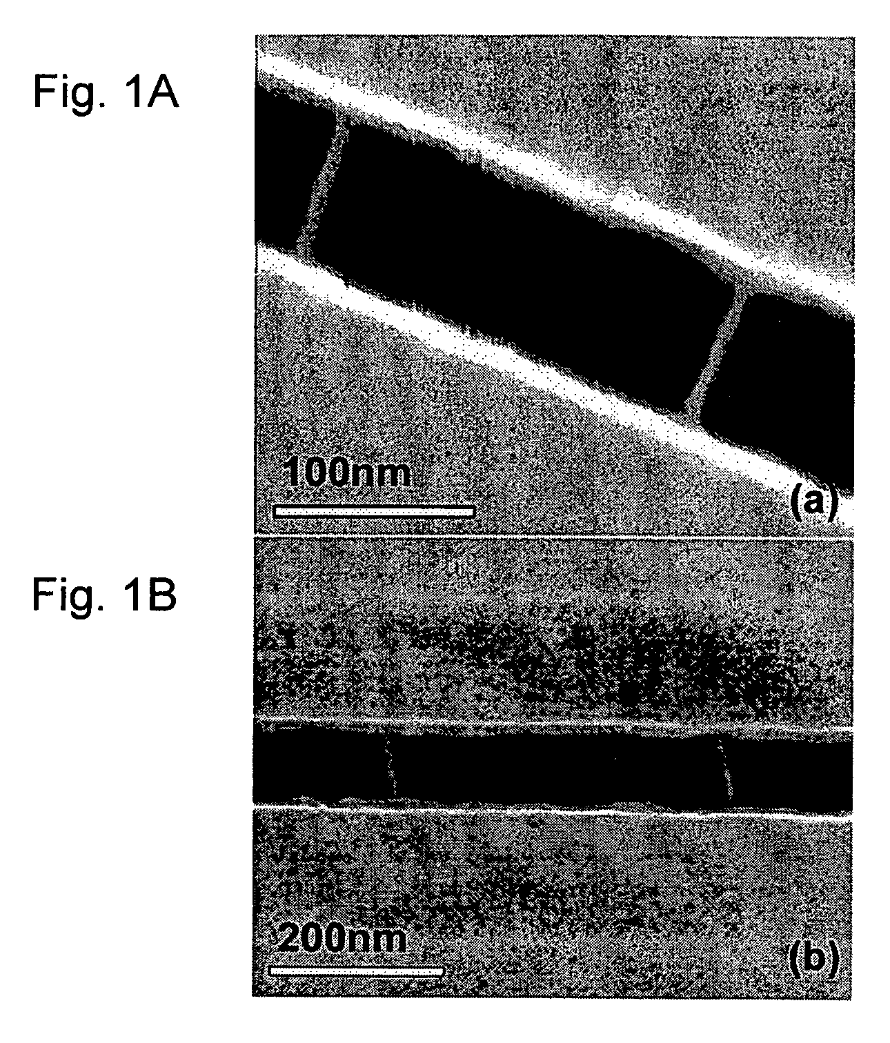 Nanowire structures and electrical devices