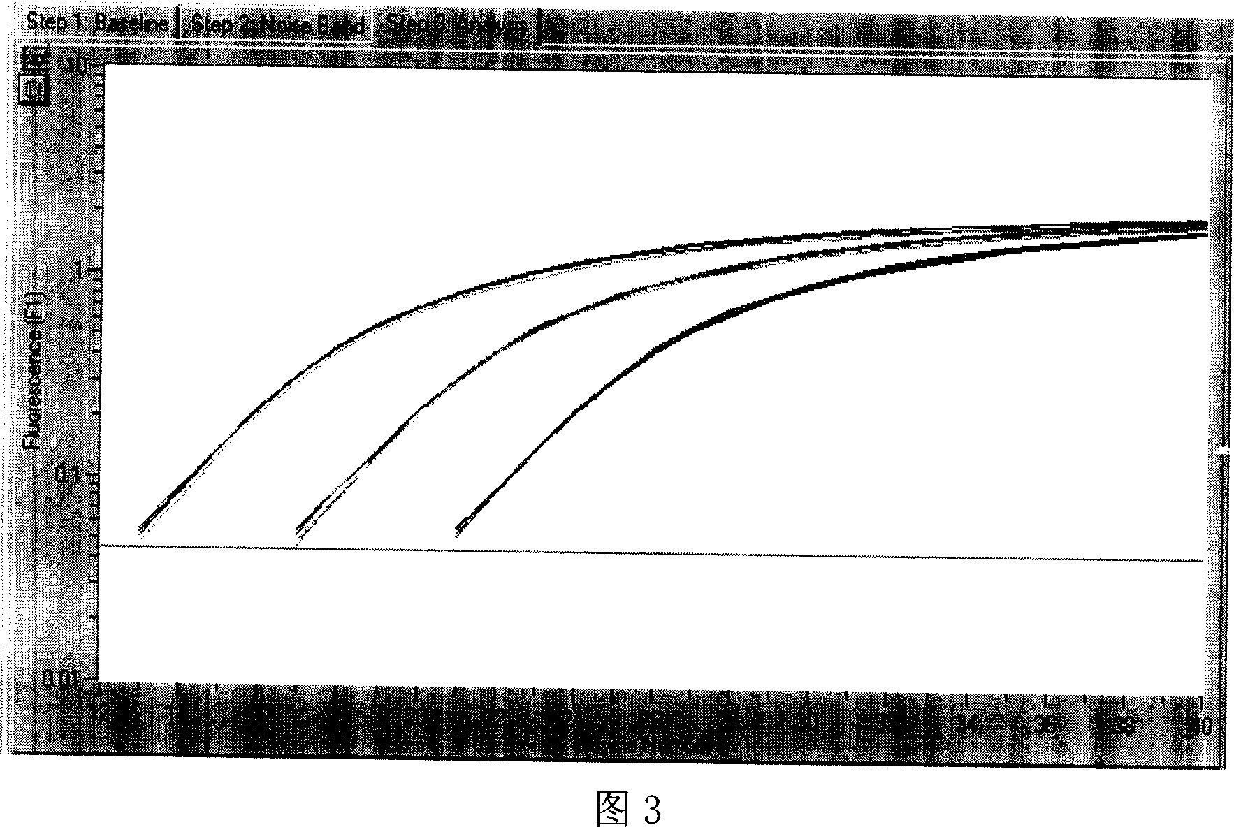 Parotiditis virus fluorencent amplification detection reagent box and detection method