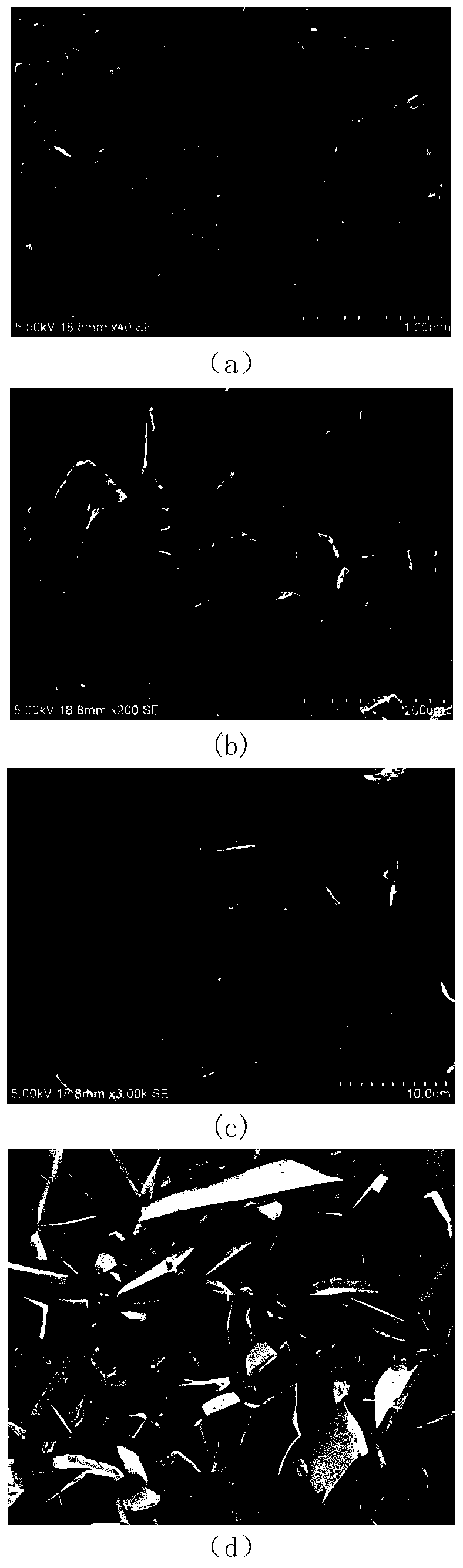 Warm-press molded bonded magnet and preparation method thereof