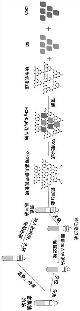 Catalyst for extracting and separating uranium in uranium-containing wastewater or seawater and application of catalyst