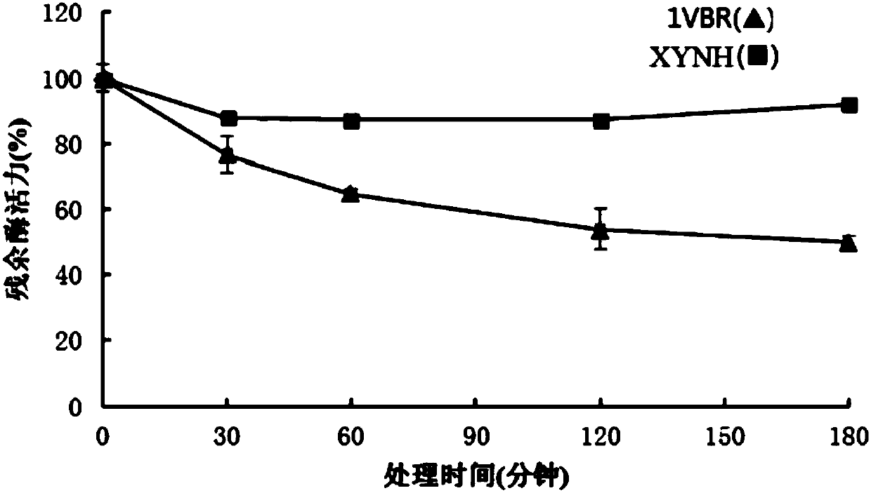 Mutant XYNH of extreme heat-resistant xylanase 1VBR and use thereof