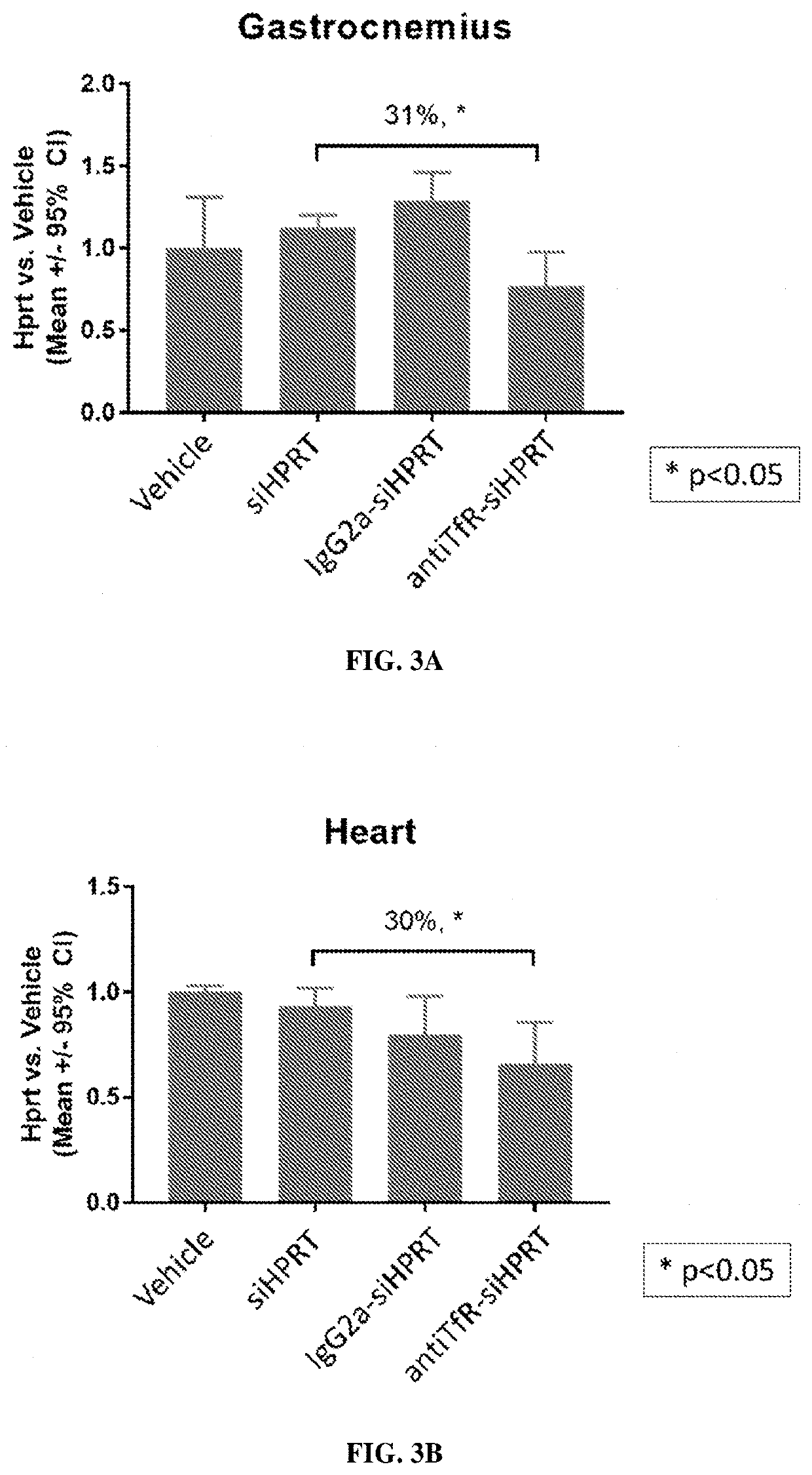 Muscle targeting complexes and uses thereof for treating friedreich's ataxia