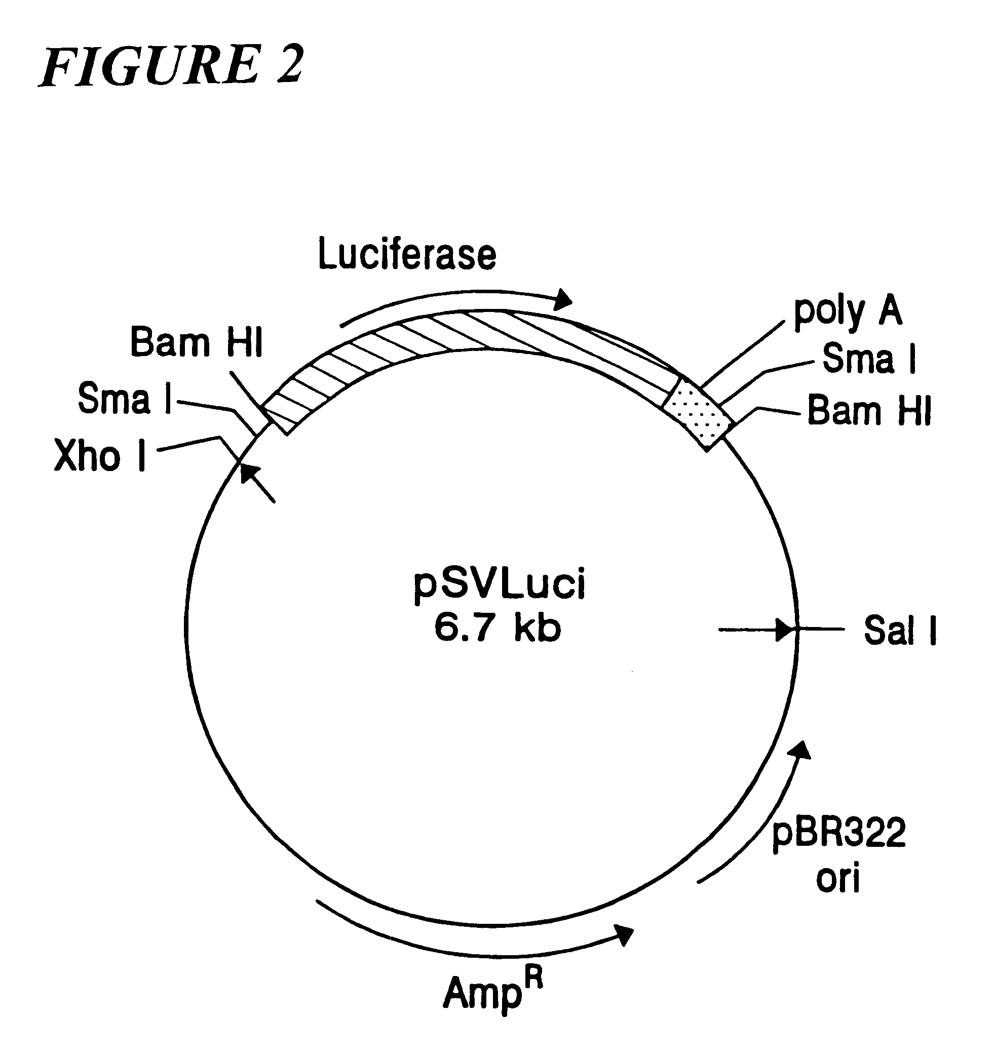 Methods of preparing compositions comprising chemicals capable of transcriptional modulators