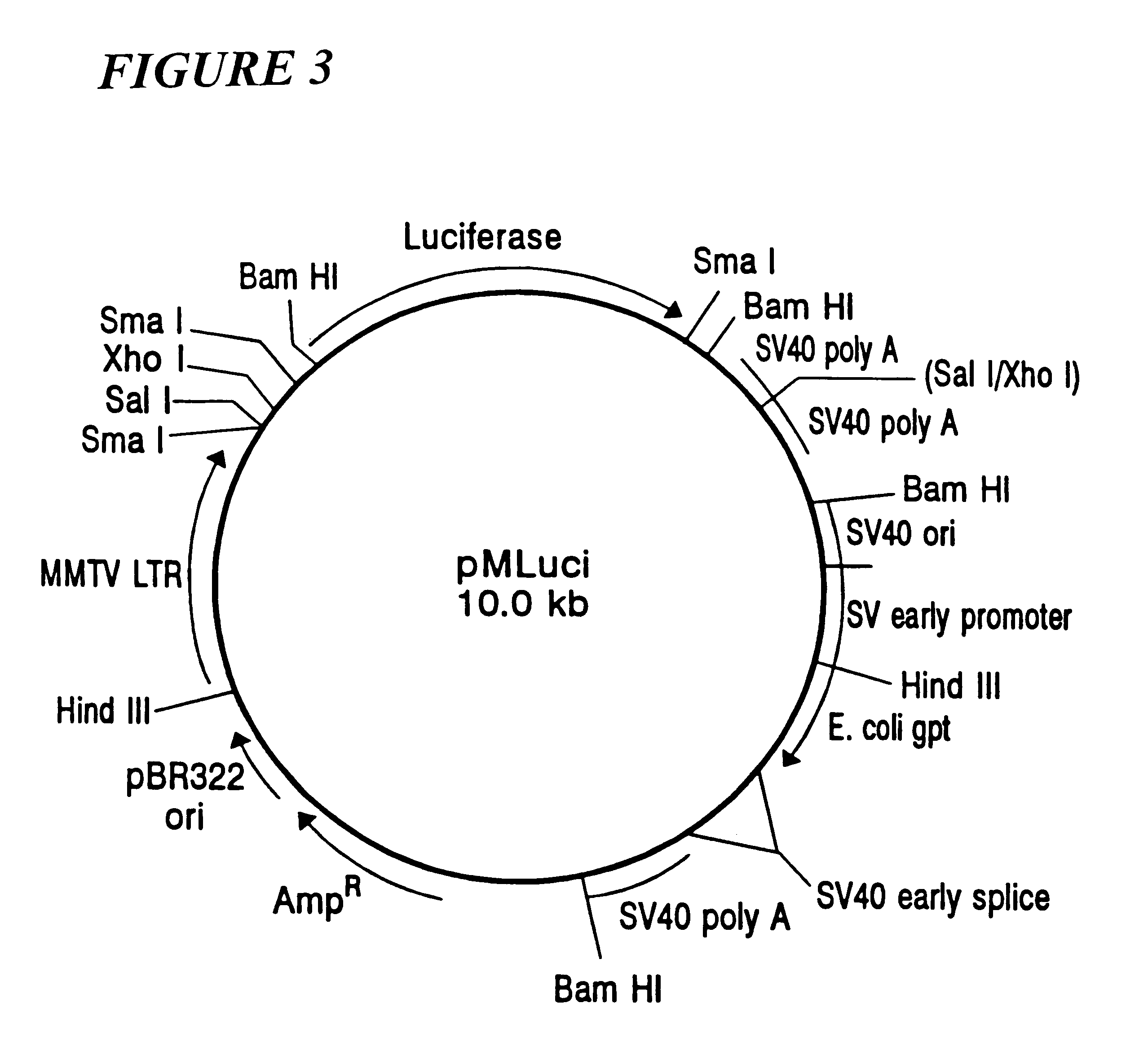 Methods of preparing compositions comprising chemicals capable of transcriptional modulators