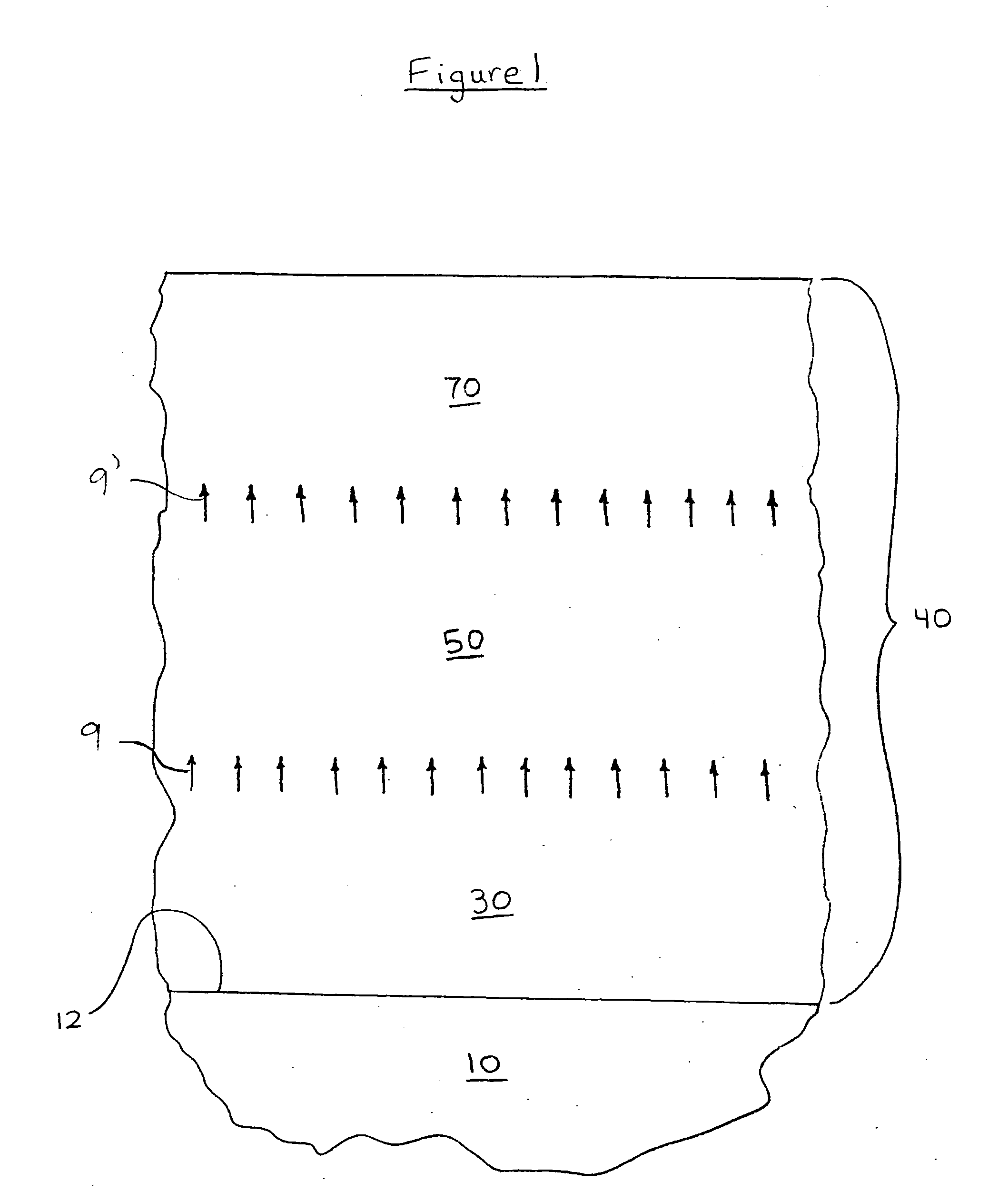 Graded photocatalytic coatings