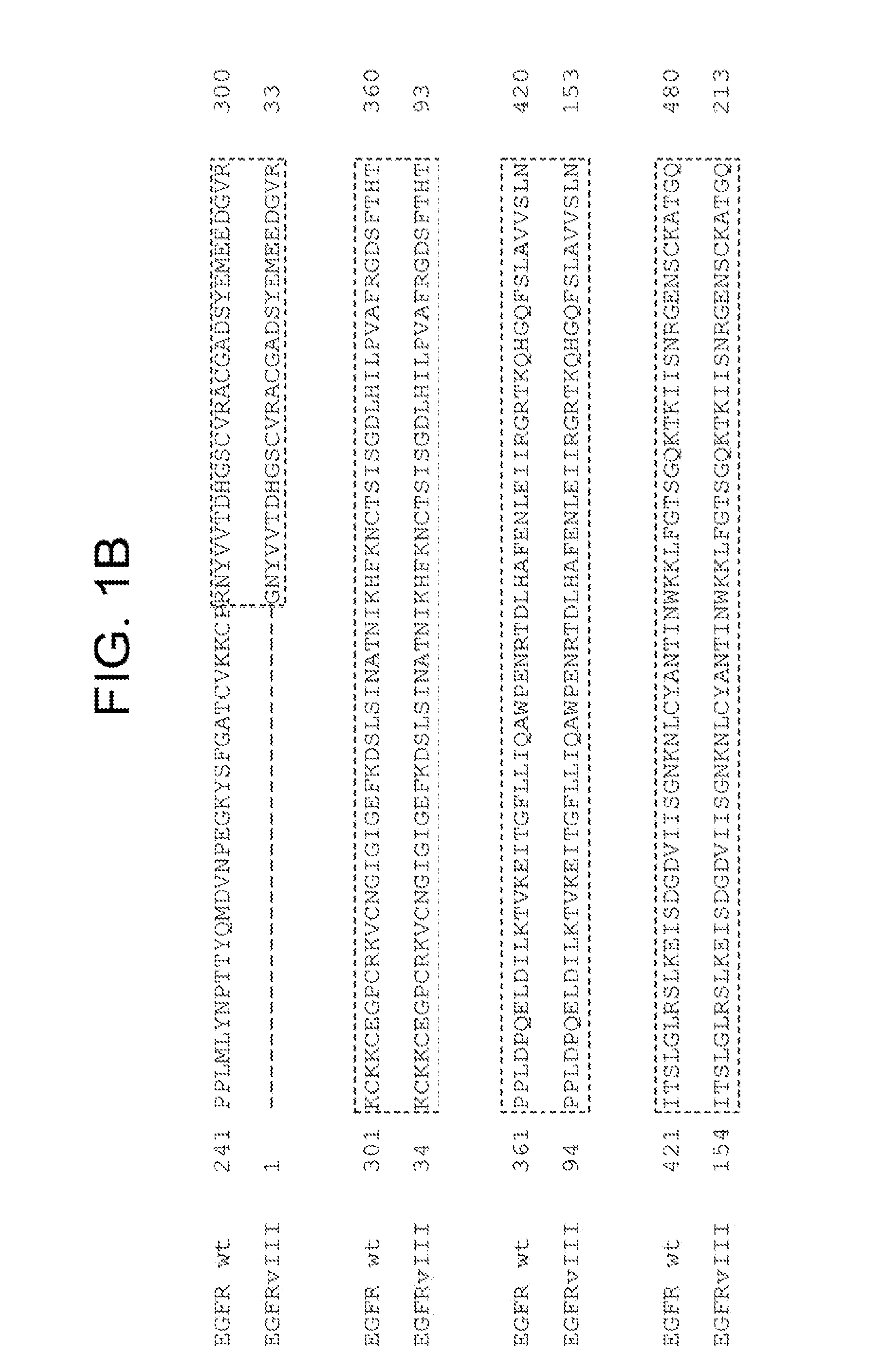 Methods of treating epidermal growth factor deletion mutant viii related disorders