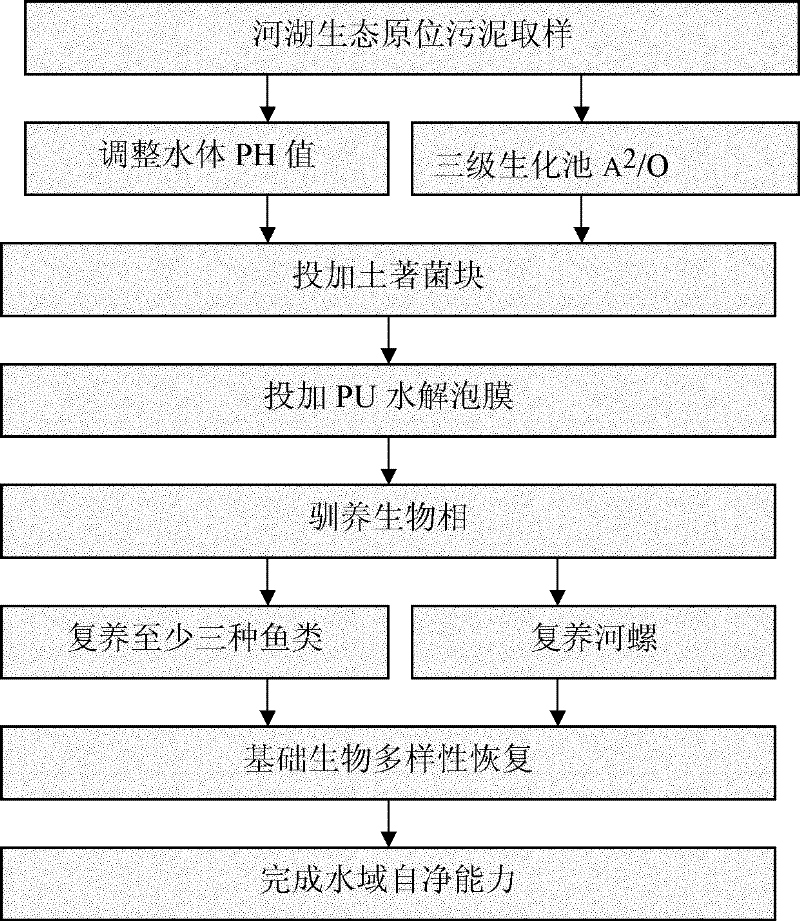 Preparation method of indigenous bacterium blocks for treating dystrophication