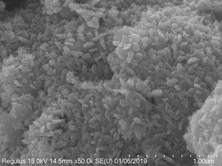 A kind of preparation method of inorganic non-noble metal Ni-doped Cu-based bifunctional electrocatalyst