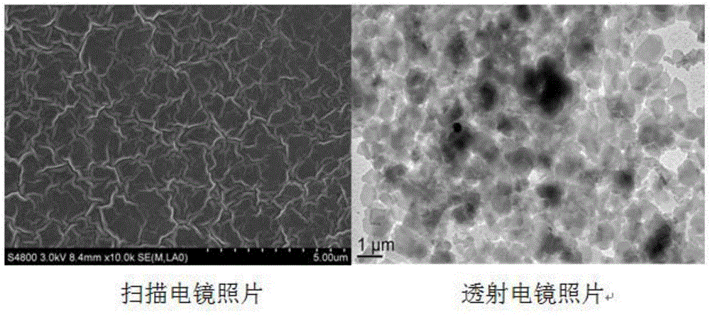 Hydrogel containing cyclodextrin and polyethylene glycol block polypeptide molecular brush as well as preparation method and application of hydrogel