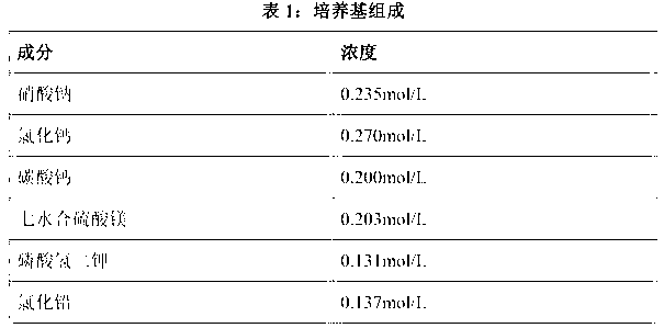 Culture medium of single-cell microalgae and method for treating lead-containing wastewater by using single-cell microalgae