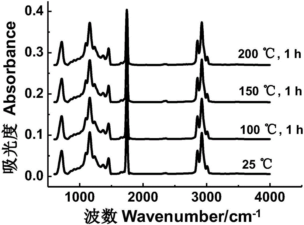 Method for rapidly identifying oxidation degree of peony seeds and secondary protein structures