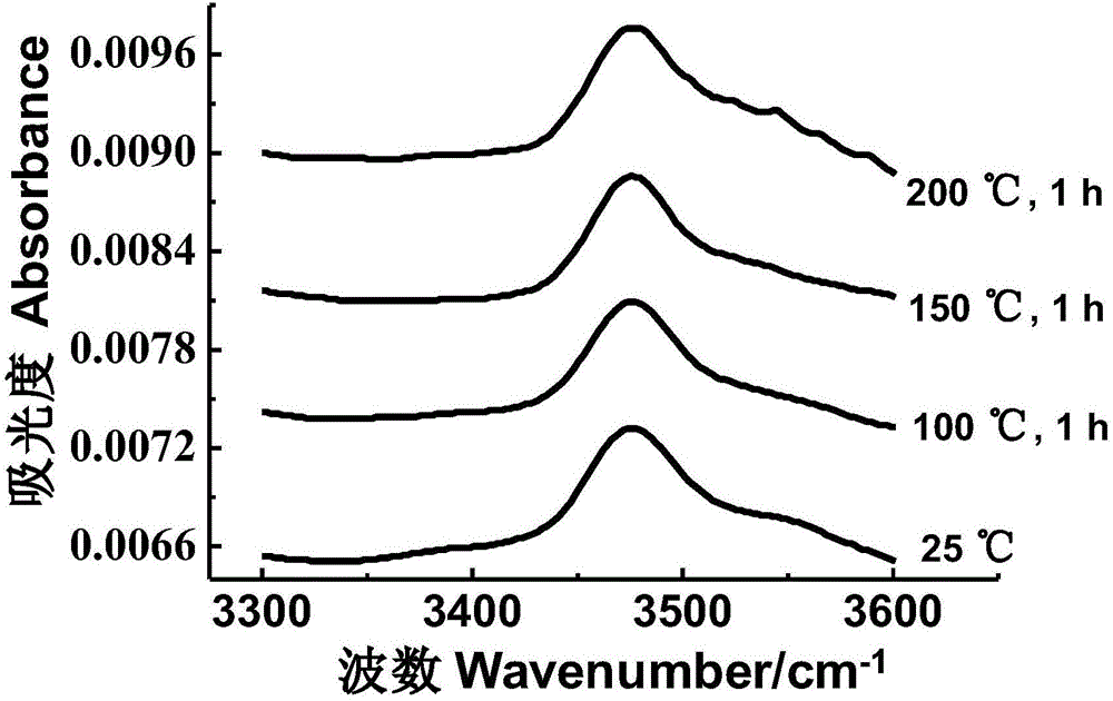 Method for rapidly identifying oxidation degree of peony seeds and secondary protein structures