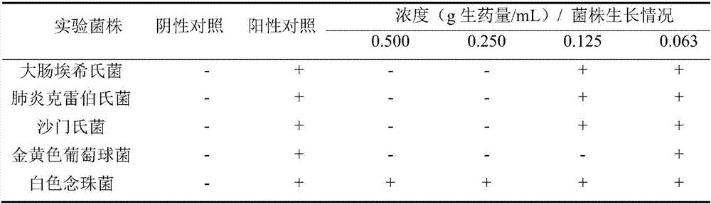 Wild jasmine tea and preparation method thereof