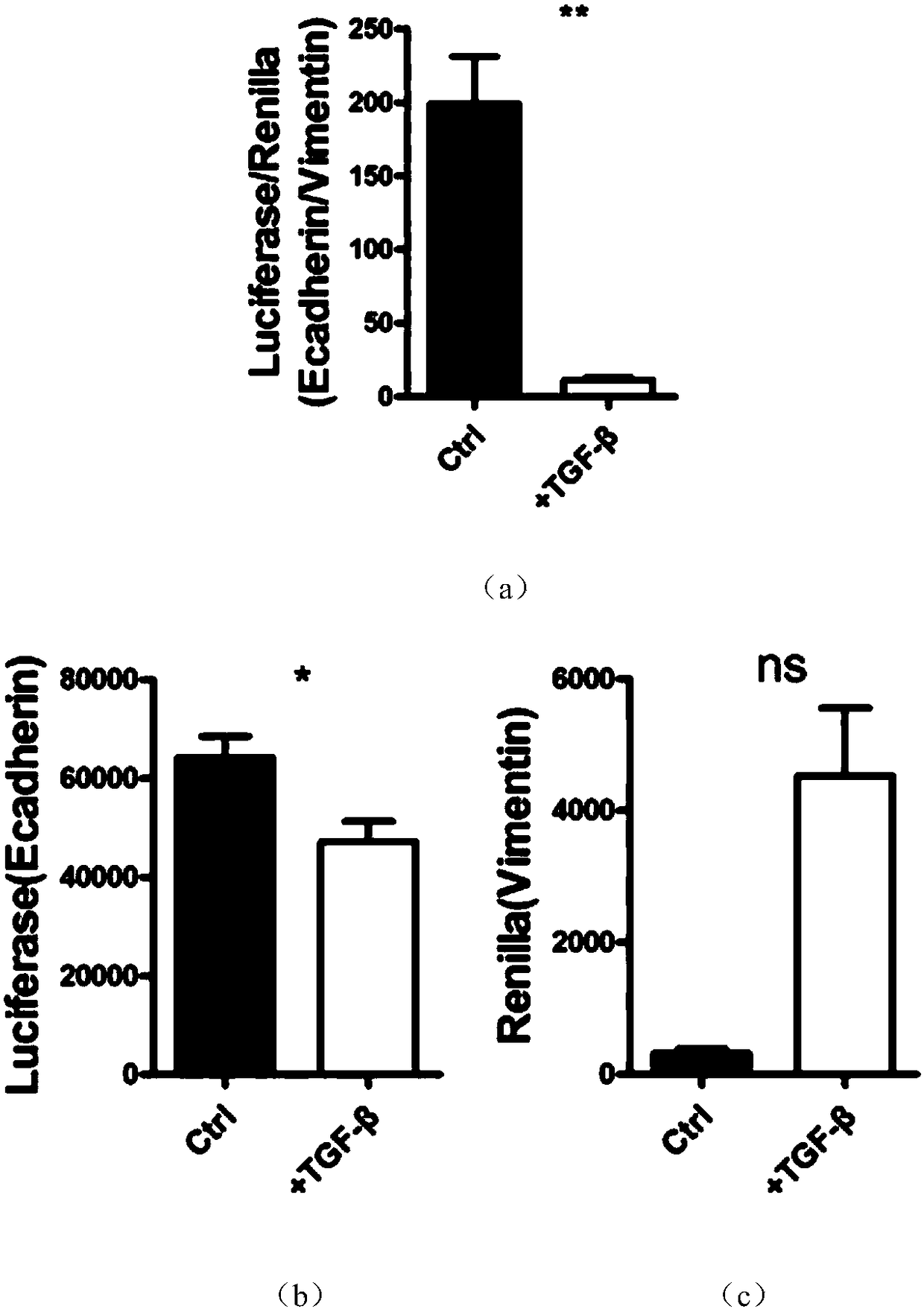 Purpose of ion pump inhibitor for inhibiting epithelial-mesenchymal transition and resisting tumor metastasis