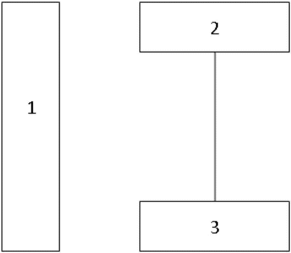 Method for carrying patients with language disorder