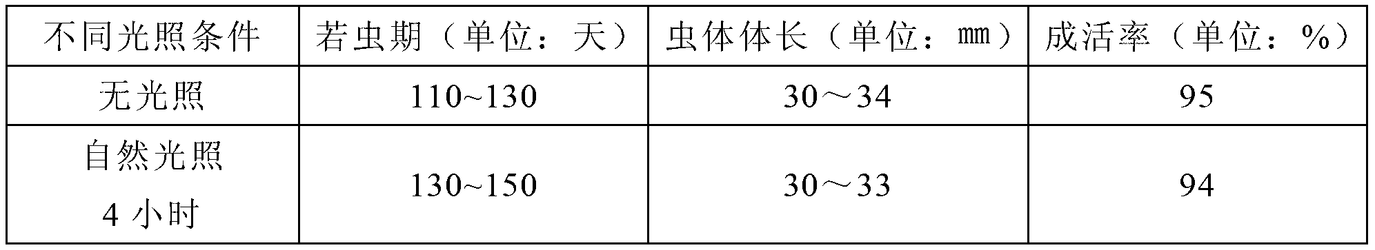 Method for cultivating American cockroaches